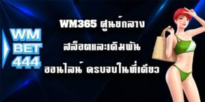 WM365